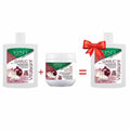 Pack OIGNON & GARLIC PDV